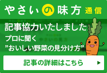 やさいの味方通信に記事協力いたしました